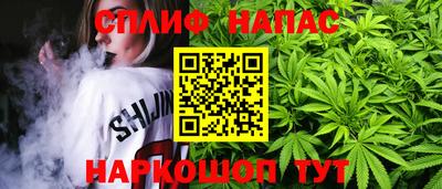 a pvp Будённовск